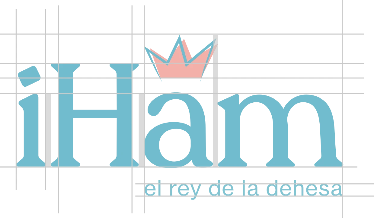 Logo iHam Coloreado