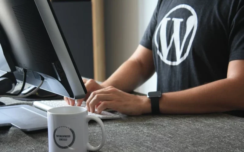 Wordpress: Top plugins y herramientas para tu e-Commerce (I)